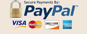 secure payment